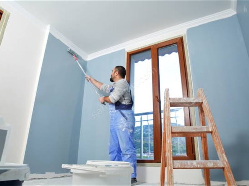 Bismil Boya Badanacı